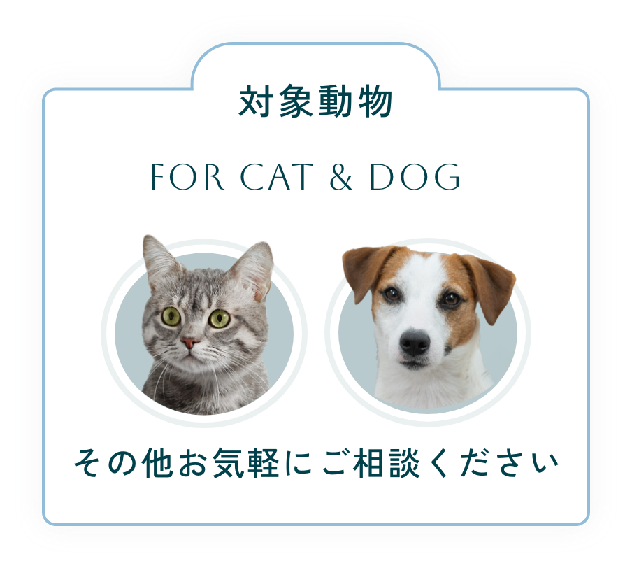 対象動物：猫と犬 その他お気軽にお問い合わせ下さい。