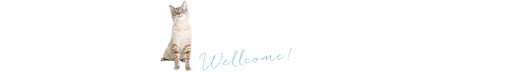 wellcome